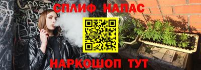 прущие грибы Нальчик