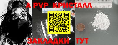 прущие грибы Нальчик
