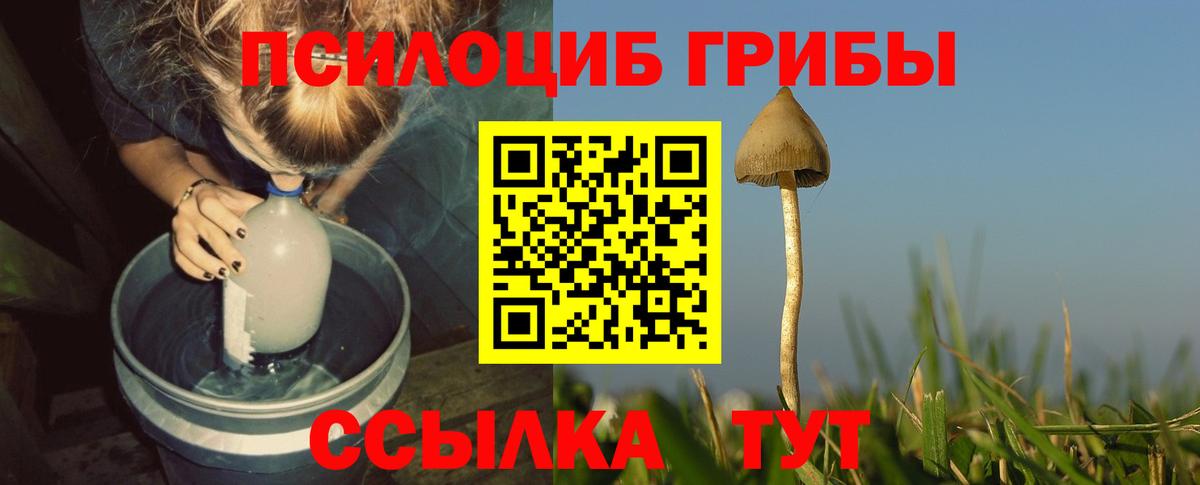 Галлюциногенные грибы ЛСД Хабаровск